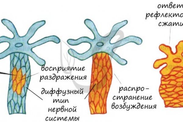 Кракен марихуана