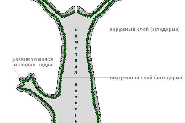 Маркетплейс кракен kraken