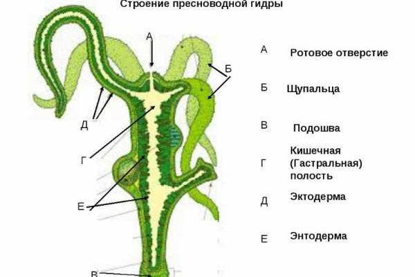 Кракен зеркало на тор